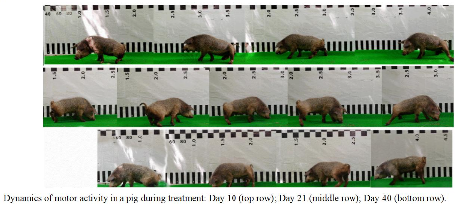 Fusogenic therapy restored spinal cord function after complete transection